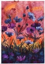 Watercolor illustration sunset evening flowers orange yellow blue purple red colors Royalty Free Stock Photo