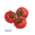 Botanical watercolor tomatoes