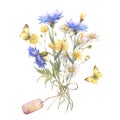 Watercolor botanical illustration, wild flowers bouquet with blue Cornflower herb and chamomile and with butterflies Royalty Free Stock Photo