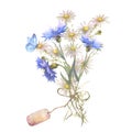 Watercolor botanical illustration, wild flowers bouquet with blue Cornflower herb and chamomile and with butterflies Royalty Free Stock Photo