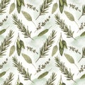 Watercolor Botanical Pattern of Fresh Herbs and Leaves Royalty Free Stock Photo