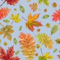 Autumn Leaves Seamless Pattern on Blue Background.
