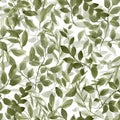 Seamless pattern with greenery leaves on white background. Watercolor green foliage, leaf and plants branches. hand drawn print Royalty Free Stock Photo