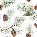 Watercolor botanical seamless pattern with pine branches and cones. Hand painted winter holiday plants isolated on white Royalty Free Stock Photo