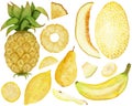 Watercolor botany set, various yellow fruits isolated on white background. For various food products, kitchen, cards etc