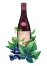 Watercolor bottle of red wine decorated with grape leaves and berries