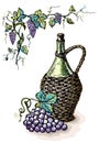 Watercolor bottle of wine in wicker basket and grape Royalty Free Stock Photo