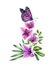 Watercolor bougainvillea branch with butterfly. Purple flowers, violet monarch and palm leaves. Hand painted floral