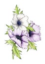 Watercolor Bouquet with Anemone flowers. Violet and white Gentle anemones. Arrangement of flowers. Design for postcards