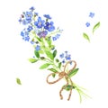 Watercolor bouquet. Blue forget-me-nots