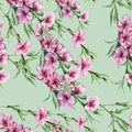 Watercolor branch peach on a lime green background. Seamless pattern. Royalty Free Stock Photo