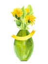 Watercolor bouquet of dandelions and leaves in a vase, romantic illustration of summer yellow flowers with a ribbon for text Royalty Free Stock Photo