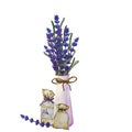 Watercolor Bouquet of dried lavender flowers in a vase. Illustration on a white background