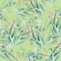 Watercolor bouquet field flowers on green background. Seamless pattern for design. Royalty Free Stock Photo