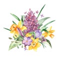 Watercolor bouquet with flowers and leaves of daffodil, crocus and lilac