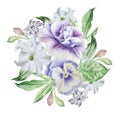 Watercolor bouquet with flowers. Petunia. Pansies.