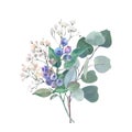 Watercolor bouquet, gypsophila branch, blueberry and eucalyptus branches, isolated on white background. For the design Royalty Free Stock Photo