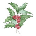 Watercolor bouquet holly berry, december birth month flower Royalty Free Stock Photo