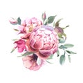 Watercolor Bouquet of peony and blosom flowers isolate in white background for wedding, invitation, valentine cards and prints