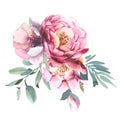 Watercolor Bouquet of peony and blosom flowers isolate in white background for wedding, invitation, valentine cards and prints