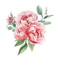 Watercolor bouquet of peony and blosom flowers isolate in white background for wedding, invitation, valentine cards and prints