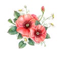 Watercolor bouquet of red poppy, chamomile and greenery isolated on white background. Hand painted illustration. Royalty Free Stock Photo