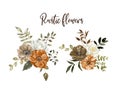 Watercolor bouquet. Rustic flowers botanical illustration. Fall design