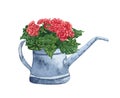 Watercolor bouquet in a rustic watering can. Handrawn garden flowers in a pot