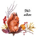 Watercolor bouquet with squirrel. Hand painted floral illustration.