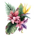 Watercolor bouquet of tropical flowers and leaves on white background