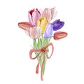 Watercolor bouquet of Tulips collection garden and wild flowers, easter florals, leaves. Botanical illustration isolated on white Royalty Free Stock Photo