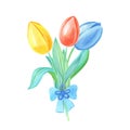 Watercolor bouquet with tulips.Watercolor greeting card with red, yellow, blue flower with a bow.Spring watercolour illustration