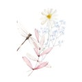 Watercolor bouquet with wild pink and blue flowers, chamomile, branches, leaves, twigs, dragonfly. Floral illustration
