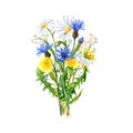 Watercolor bouquet of wildflowers: cornflowers, daisies, dandelions Royalty Free Stock Photo