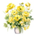 Watercolor bouquet of yellow buttercups in a vase on a white background