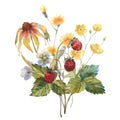 Watercolor bouquet of yellow echinacea flowers, yellow buttercup and strawberry. Template for invitations, postcards.