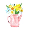 Watercolor bouquet with yellow narcissus in a vintage floral pot, isolated on white background. Spring botnical illustration