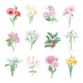 Watercolor bouquets of birth month flower