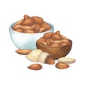 Watercolor bowls of almond nuts isolated on the white background