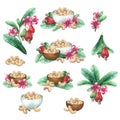 Watercolor bowls of cashew nuts decorated with fruits, flowers and leaves.