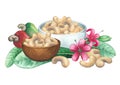 Watercolor bowls of cashew nuts decorated with fruits, flowers and leaves.