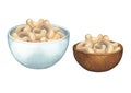 Watercolor bowls of cashew nuts isolated on the white background