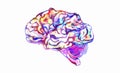 Watercolor brain, creativity concept. Vector illustration