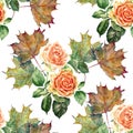 Watercolor flowers rose with leaves maple. Floral seamless pattern on a white background. Royalty Free Stock Photo