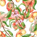 Watercolor branch of peach tree with fruit and flowers seamless pattern isolated on white. Fig peaches and leaves Royalty Free Stock Photo