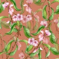 Watercolor branch of peach tree with pink flowers seamless pattern isolated on pink. Blossom fruit tree branch hand Royalty Free Stock Photo