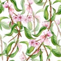 Watercolor branch of peach tree with pink flowers seamless pattern isolated on white. Blossom fruit tree branch hand Royalty Free Stock Photo