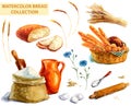 Watercolor bread collection