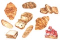 Watercolor bread set. Different kinds of bread