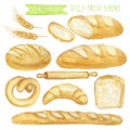 Watercolor Bread set. Hand drawn illustration